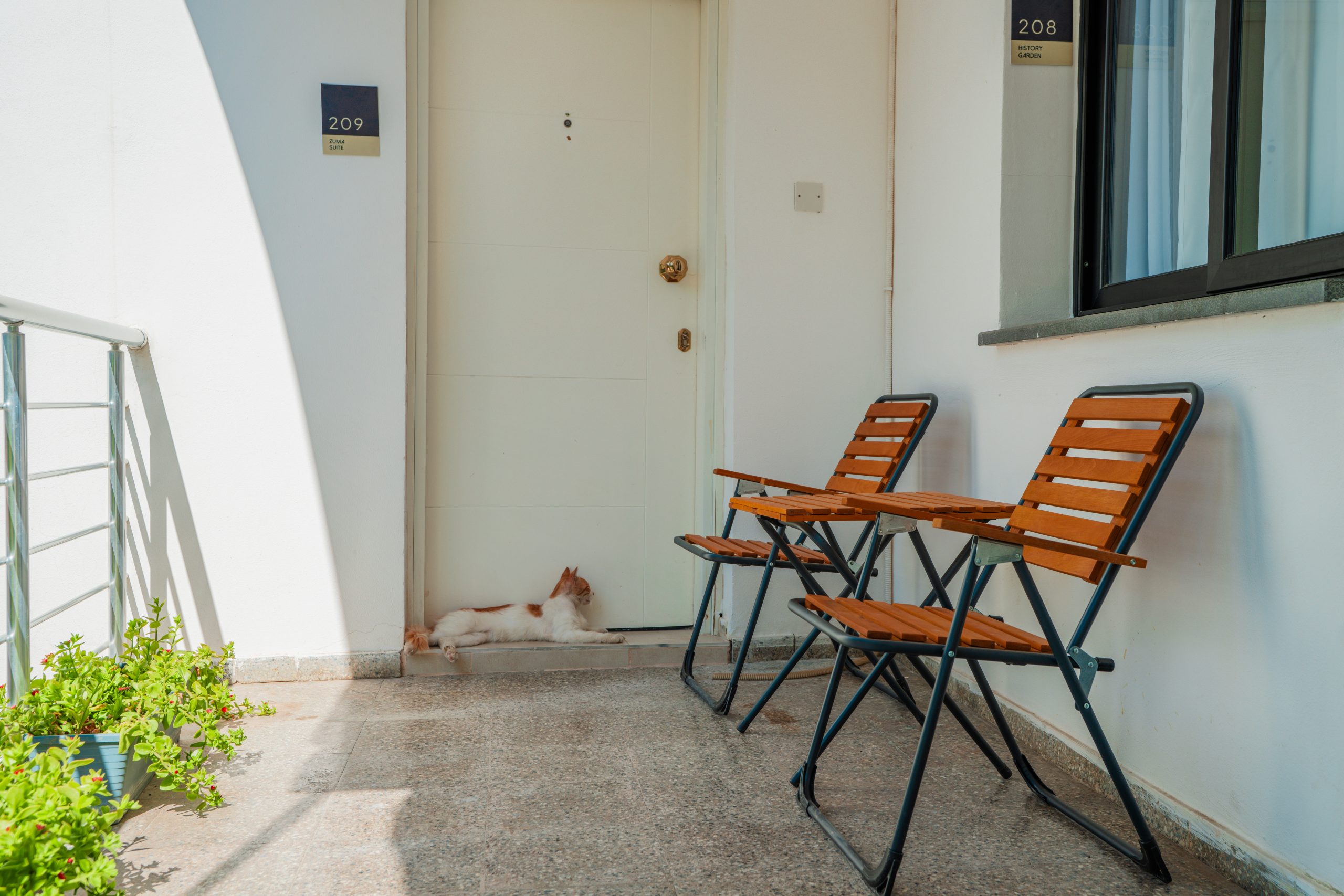 Interiors and common areas of Zuma Hotel Cyprus